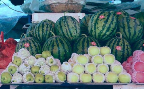 康县老头吃瓜,岁月静好，瓜香四溢  第3张